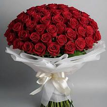 Букет 101 Красная роза Блэк Мэджик в Ольгино