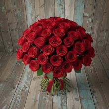 Букет 55 Красных роз Фридом #REPLACE_PRED# Ольгино