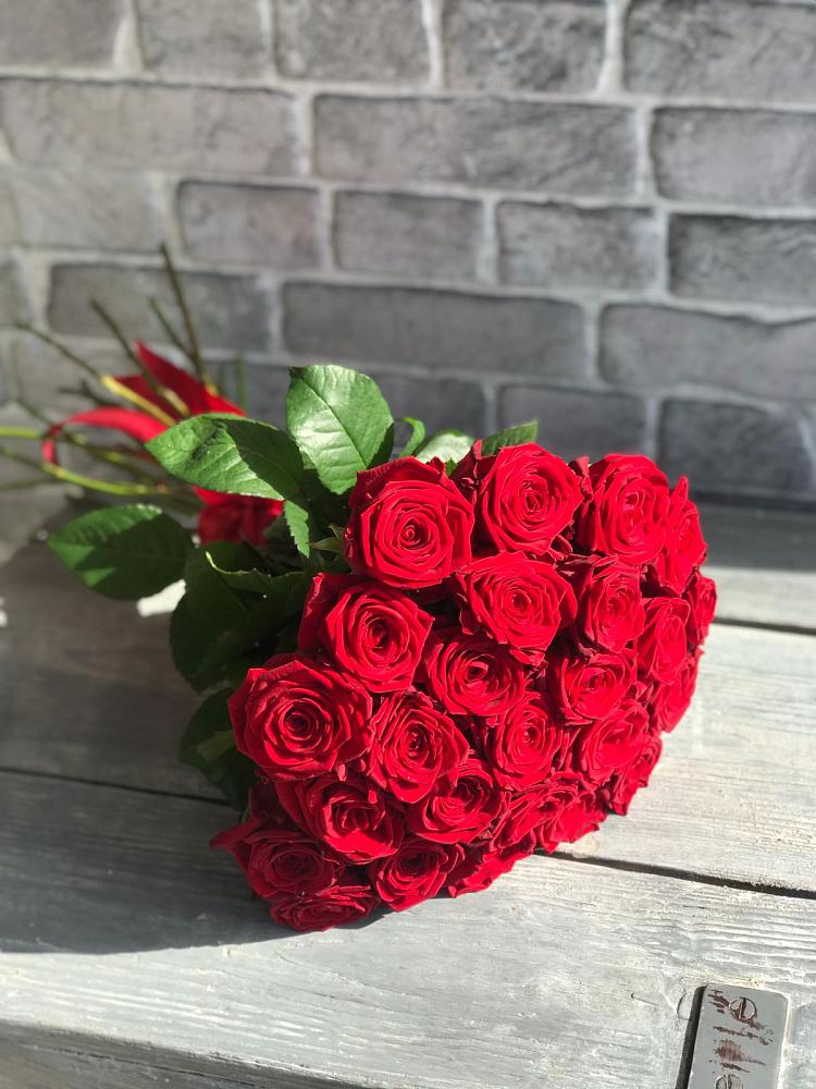 Букет Красные розы Фридом в Ольгино