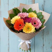 Букет цветов из:  Герберы в Ольгино