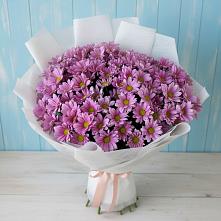 Букет цветов из:  Хризантемы в Ольгино