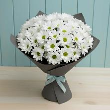 Букет цветов из:  Хризантемы #REPLACE_PRED# Ольгино