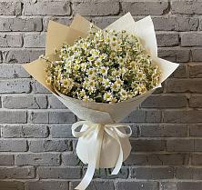 Букет цветов из:  Ромашки в Ольгино
