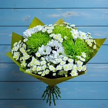 Букет цветов из:  Хризантемы в Ольгино