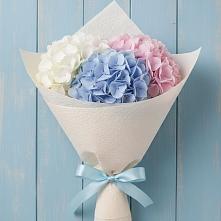 Букет цветов из:  Гортензия в Ольгино