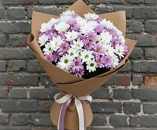 Букет цветов из:  Хризантемы в Ольгино