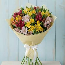 Букет цветов из:  Альстромерии в Ольгино