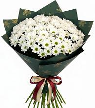 Букет цветов из:  Хризантемы в Ольгино