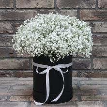 Цветочная композиция из Гипсофила в шляпной коробке в Ольгино