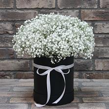 Цветочная композиция из Гипсофила в шляпной коробке в Ольгино