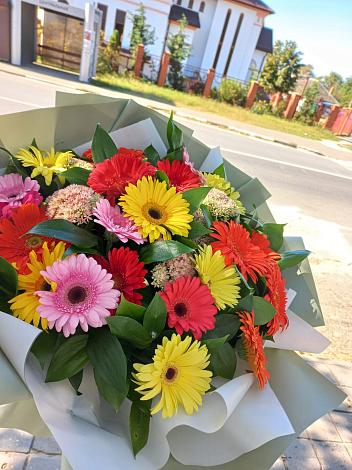 Букет цветов из: Герберы в Ольгино